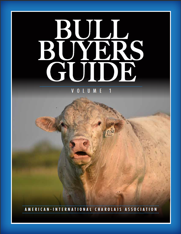 bull buyers